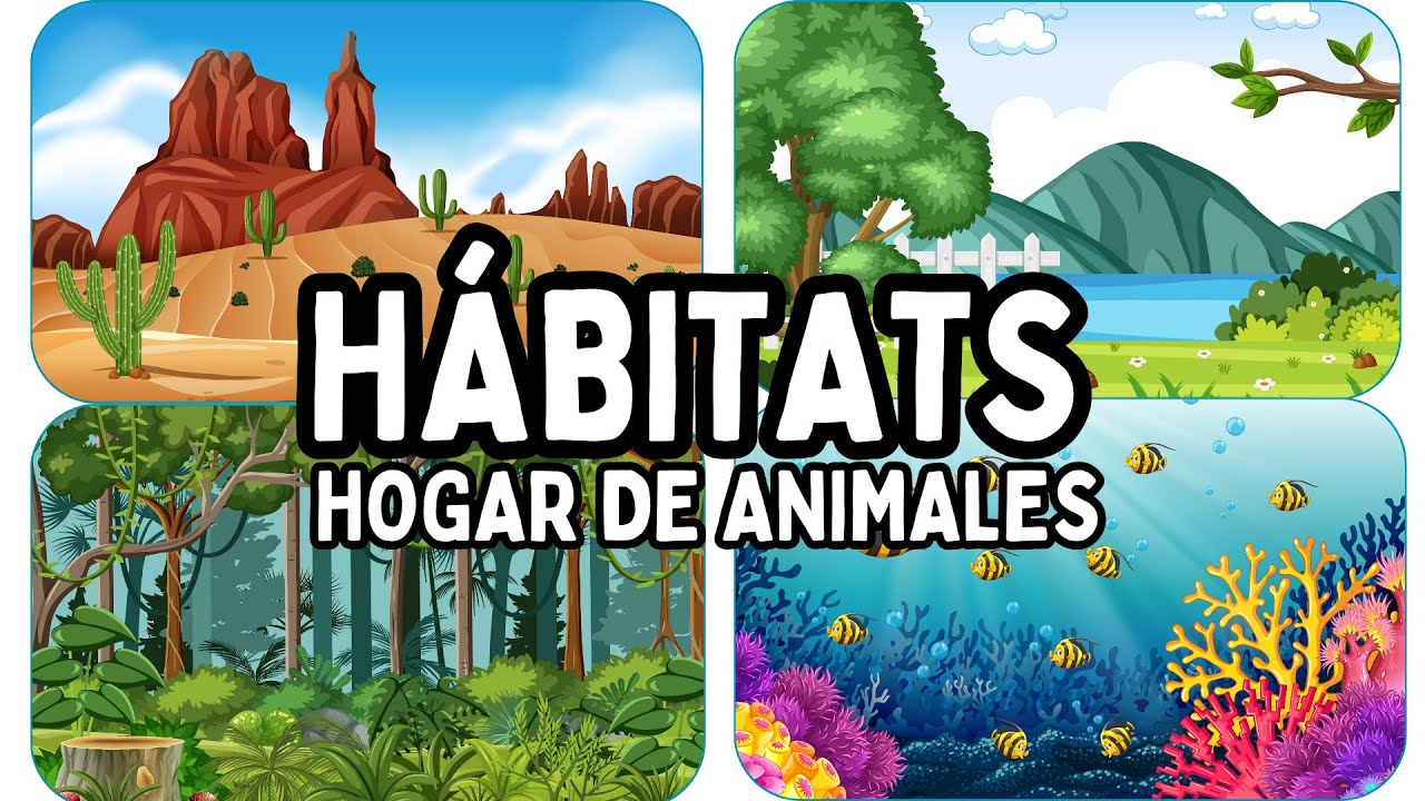 H&Aacute;BITATS🐅🐪🐒🪼HOGAR de ANIMALES Bosque🌳Oc&eacute;ano🐬Desierto🏜️Pradera 🏞️ #habitats #animales #ciencia