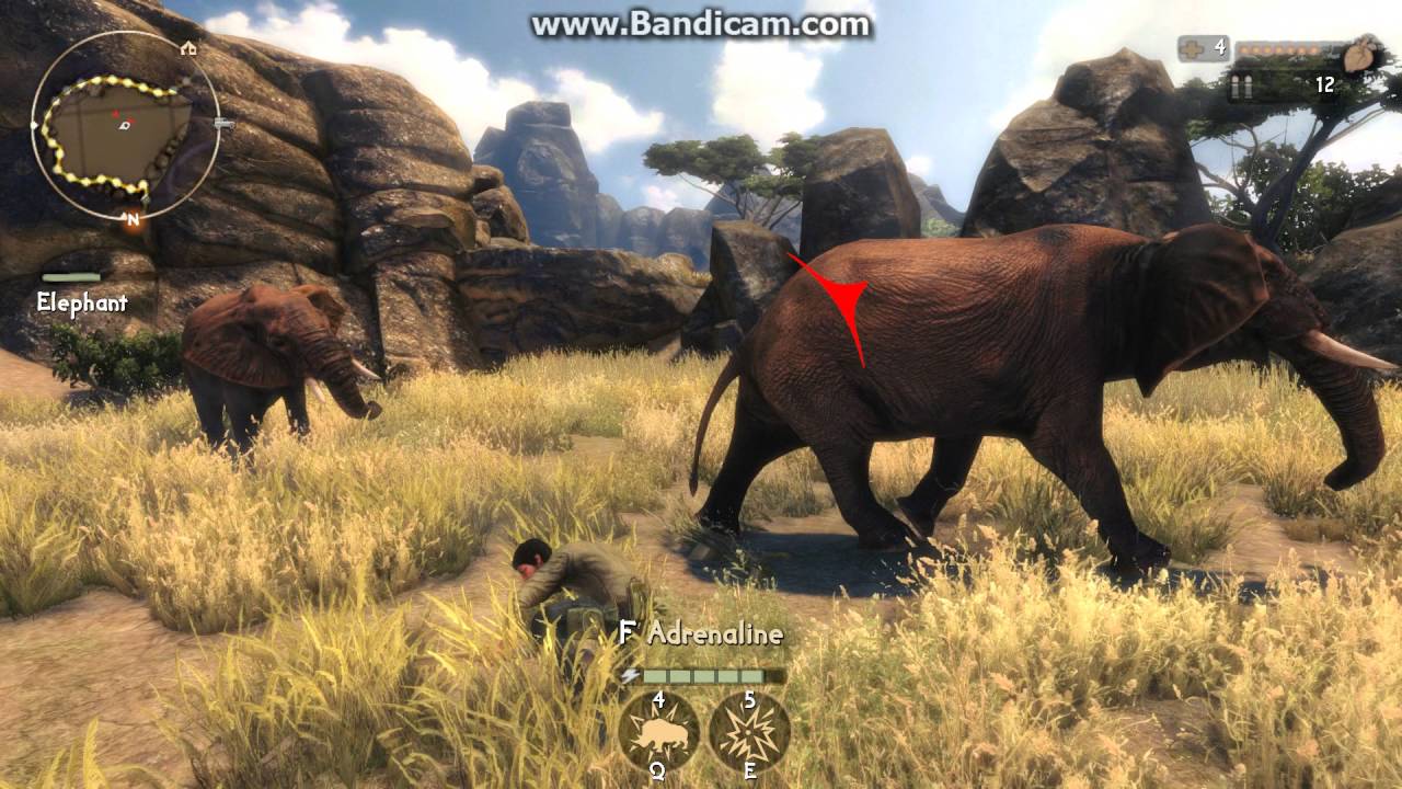 cabelas african adventure elephant hunt in rocks