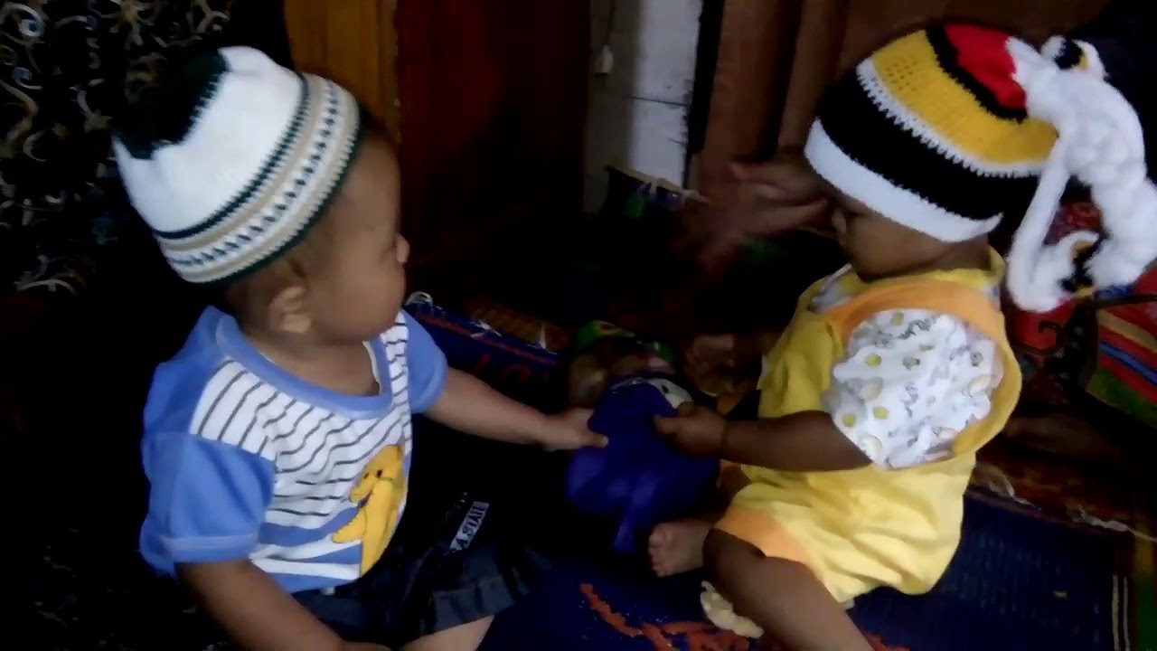KESERUAN BALITA  rebutan mainan