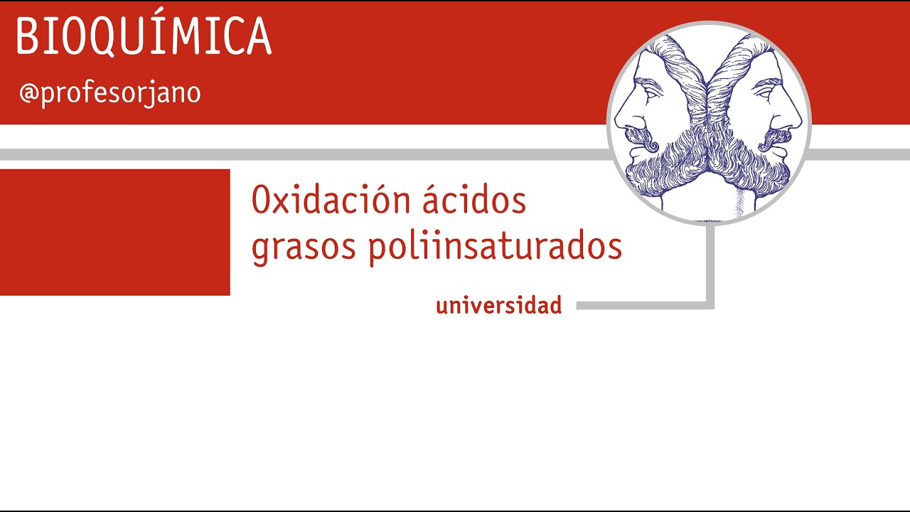 OXIDACIÓN ACIDOS GRASOS INSATURADOS YT