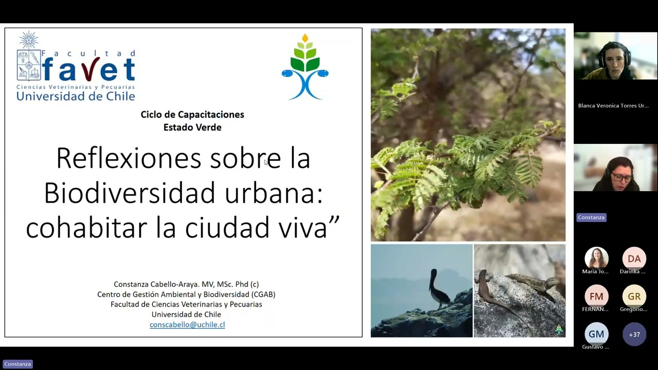 Ciclo de capacitación Oficina Verde 5 Biodiversidad urbana
