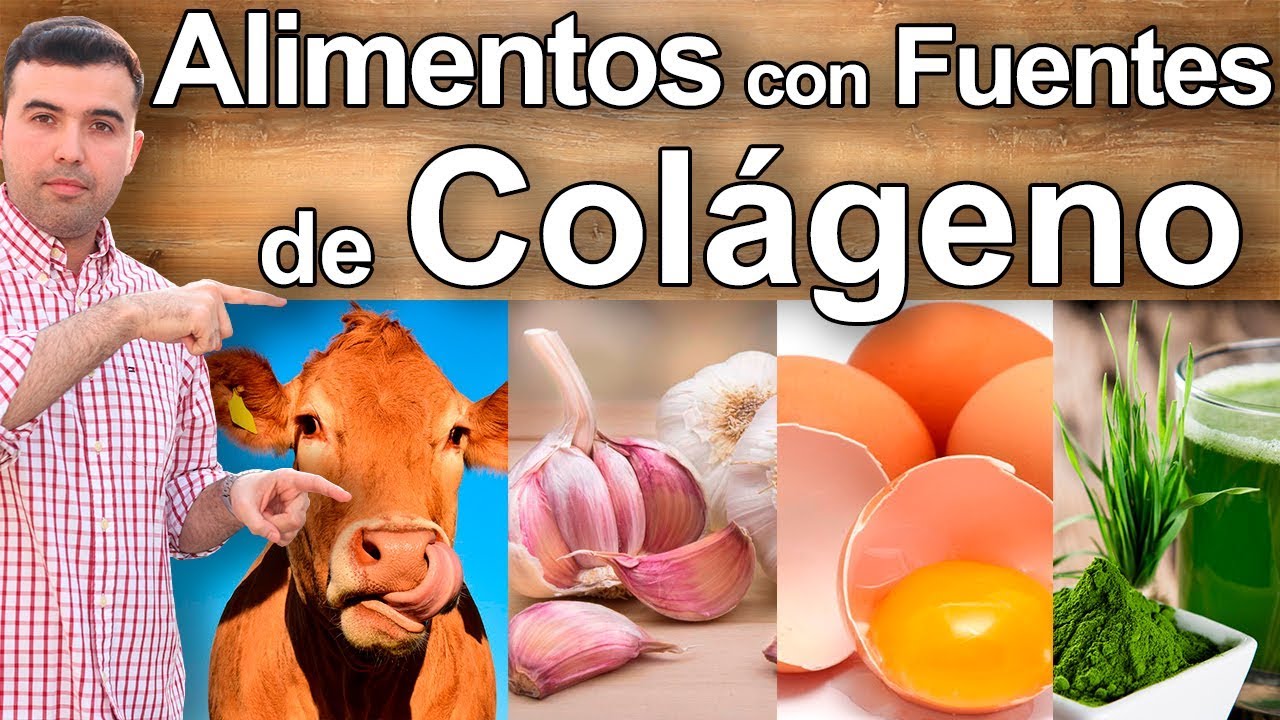 El Colageno - 12 Alimentos y Fuentes de Colageno Hidrolizado para Tu Piel, Huesos, Cabello y Salud