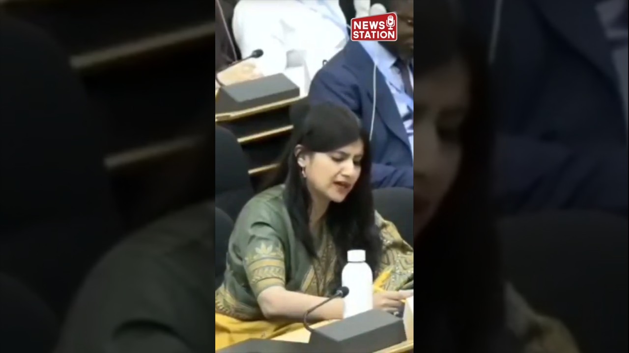 India Slams Pakistan at UNHRC, Highlights Jammu & Kashmir and Chenab Railway Bridge @NewsStation​