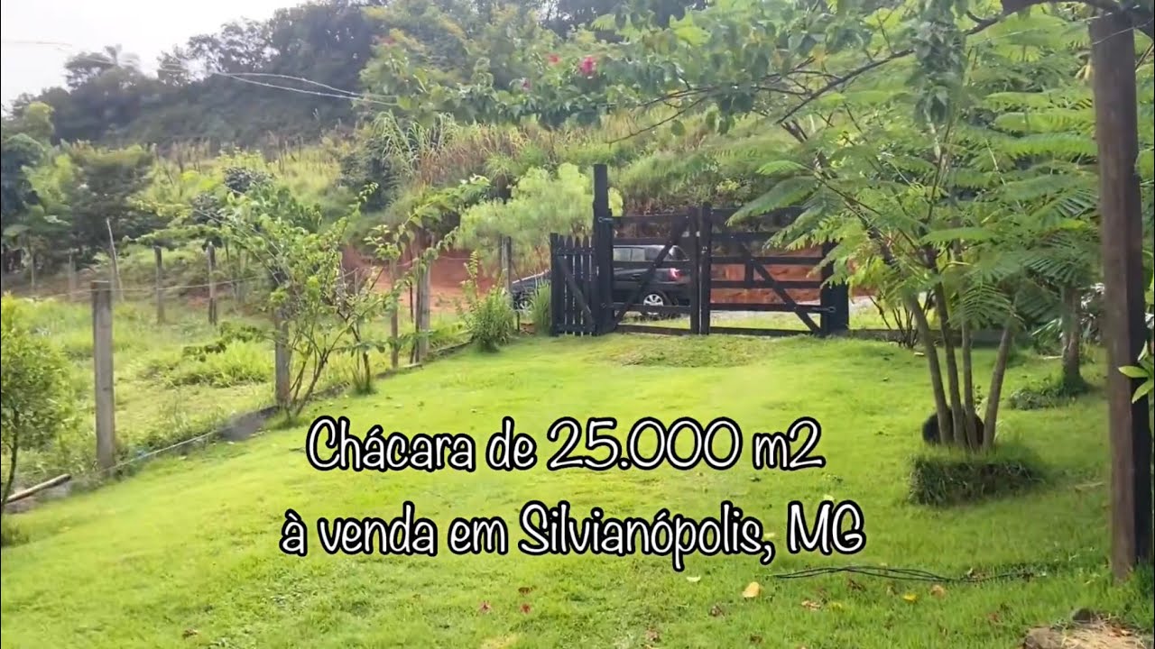 CHÁCARA À VENDA COM CASA DE 4 DORM, 5 POÇOS DE PEIXE, POMAR EM SILVIANÓPOLIS. VALOR DE 470 MIL.