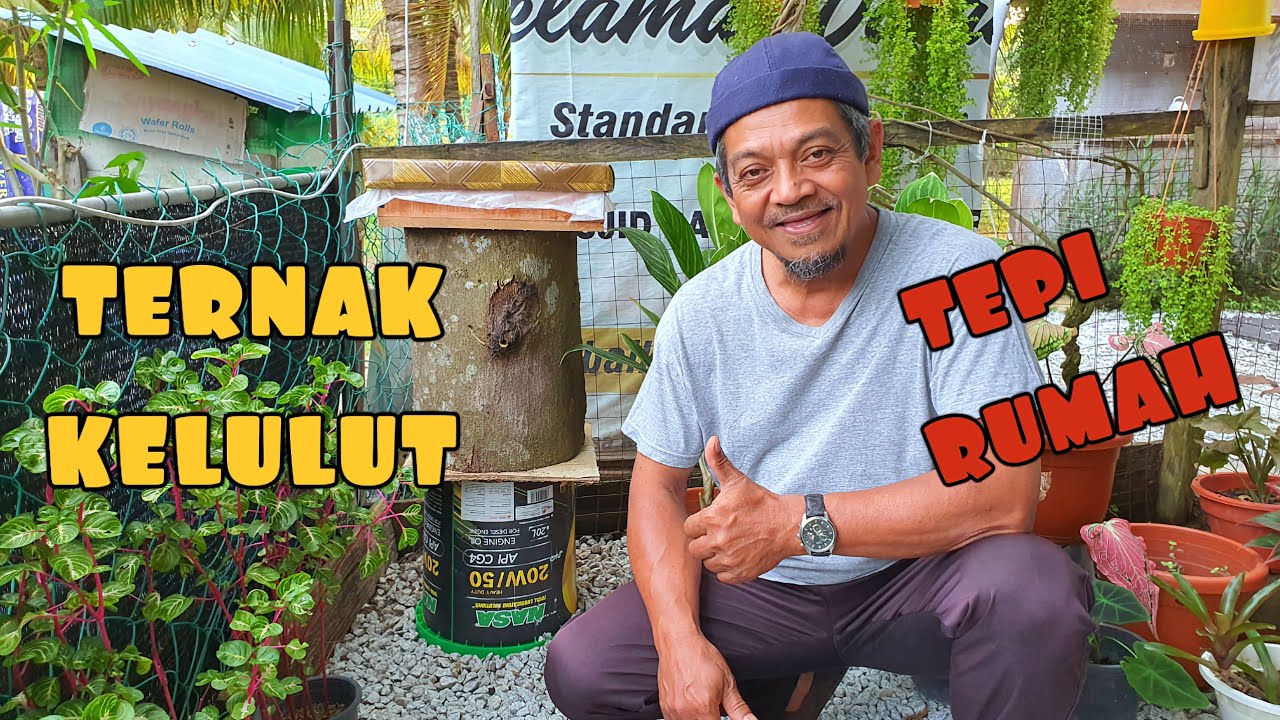 ✅️ PENCARIAN BAKA KELULUT || HASILKAN MADU SENDIRI TEPI RUMAH