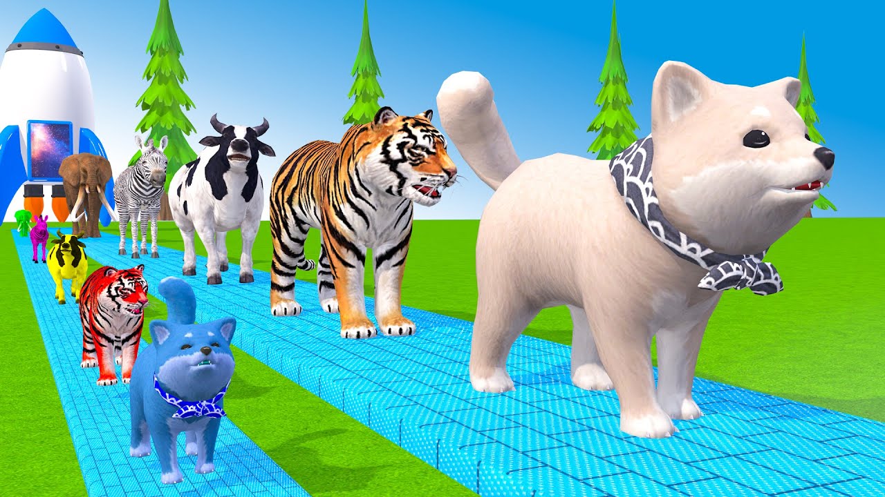 Long Slide Game With Cow Elephant Gorilla Hippopotamus Tiger 3d Animal Game Funny 3d Animals