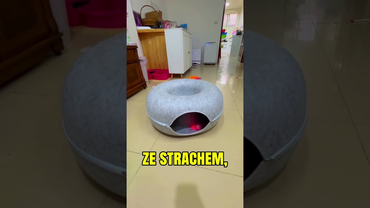 Mały gest zmienił wszystko🥺❤️