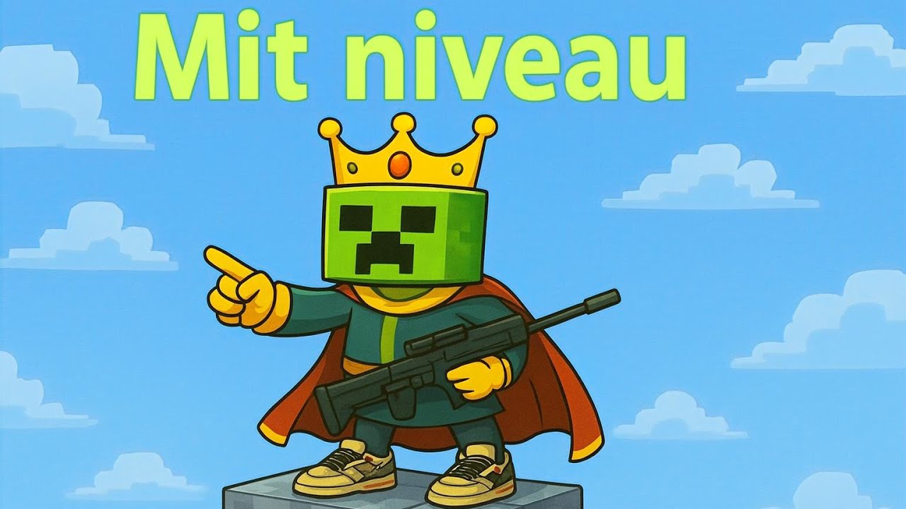 MIT NIVEAU