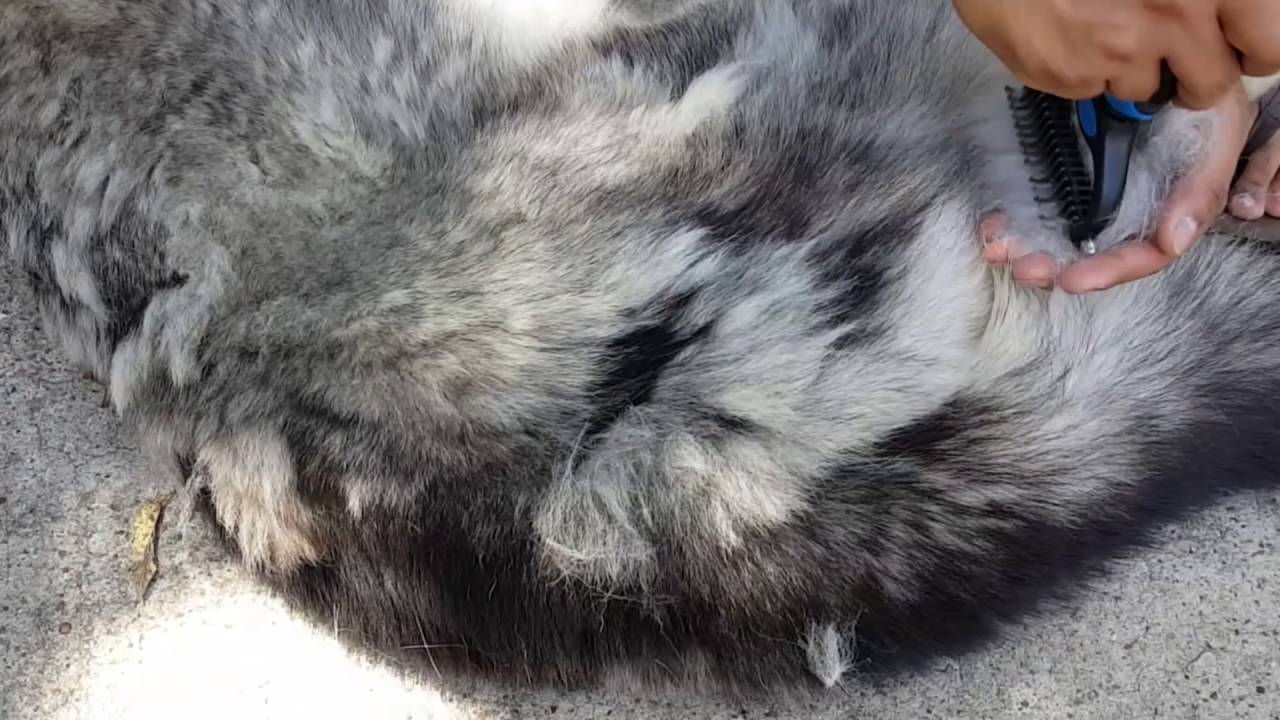 Extra-Wide Pet Dematting Comb - Dual Sided by Pat your Pet