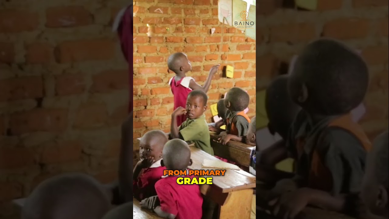 Education Crisis  High Dropout Rates & Lack of Resources