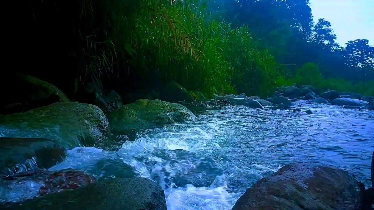 🌿 Flowing River ASMR Ambience for Sleep, Meditation & Stress Reduction