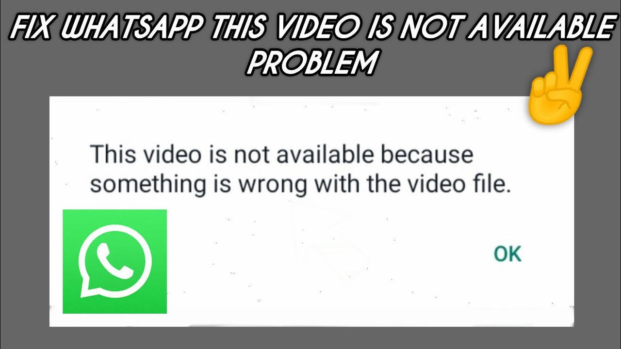 Fix WhatsApp 'This video is not available' Problem || TECH SOLUTIONS BAR