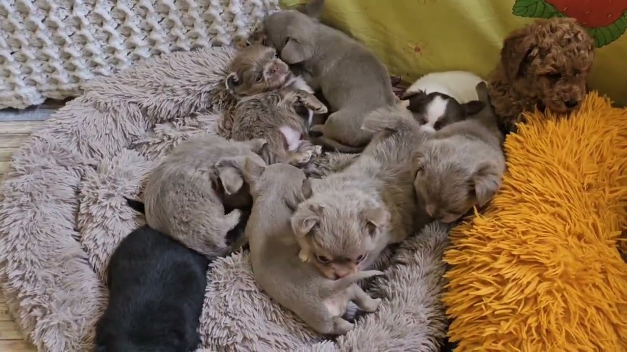 А мы вам желаем МНОГО ЛЮБВИ И СЧАСТЬЯ ❤️❤️❤️