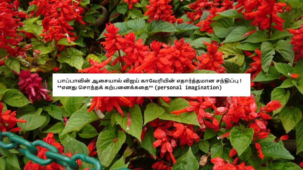 Mahanadhi - Promo 16th to 20th February 2026 - Shocking Twist! Promo Review 2 Tamil Vijay TV