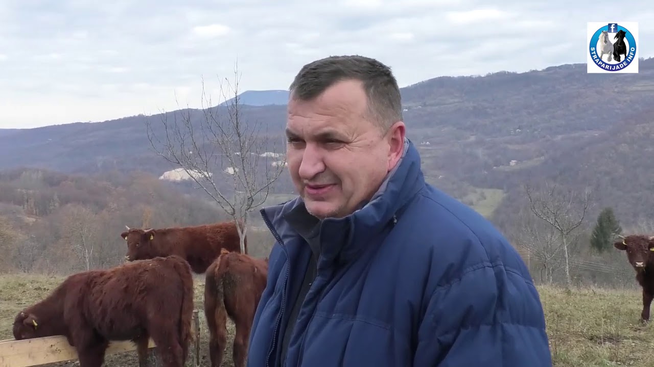 -Farma krava pasmine Salers familije Ćosić  u selu Liskovici -