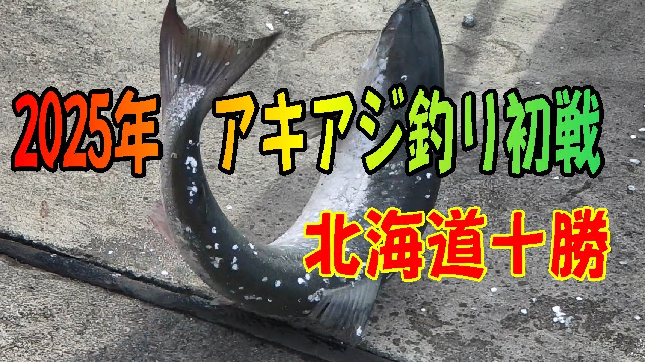 2025.8.3  アキアジ釣り　初戦　十勝港のアキアジ釣り　トラウト王国北海道十勝の釣り　つり部会ガイドサービス