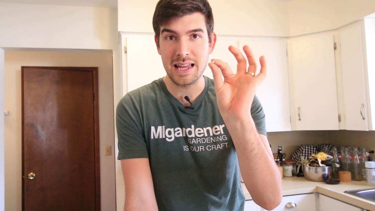 3 Steps to Store and Keep Seeds Fresh for Up to 5 Years