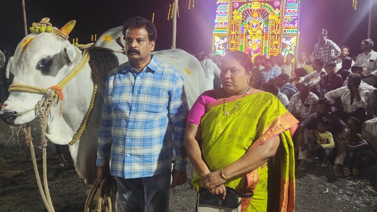 నాదెండ్ల  2️⃣🏆🎖️RK బుల్స్ వేటపాలెం (నరసింహ & లయన్) score 3266