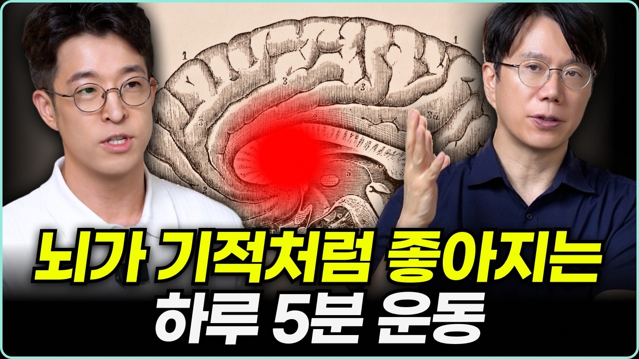 뇌 건강을 위한 최고의 운동 | 뇌가 다시 살아납니다