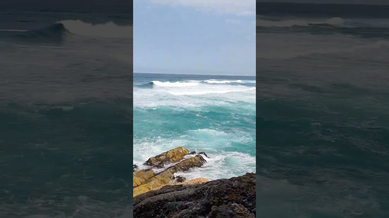 Robberg Nature Reserve #nature #naturelovers #sea #relaxing #relaxation #relax #travel #shorts