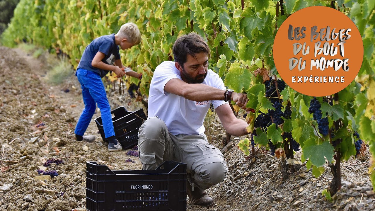 Une expérience immersive dans un vignoble, en Italie !