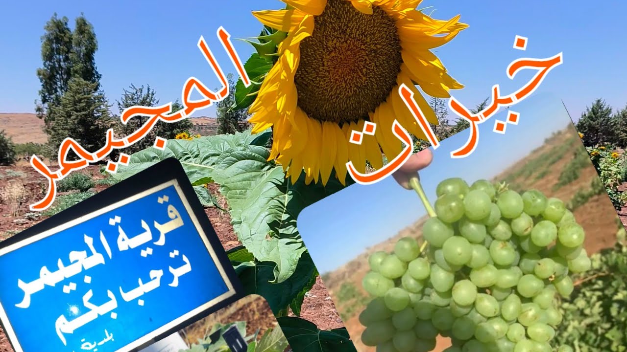 قرية #المجيمر صورة من التراث