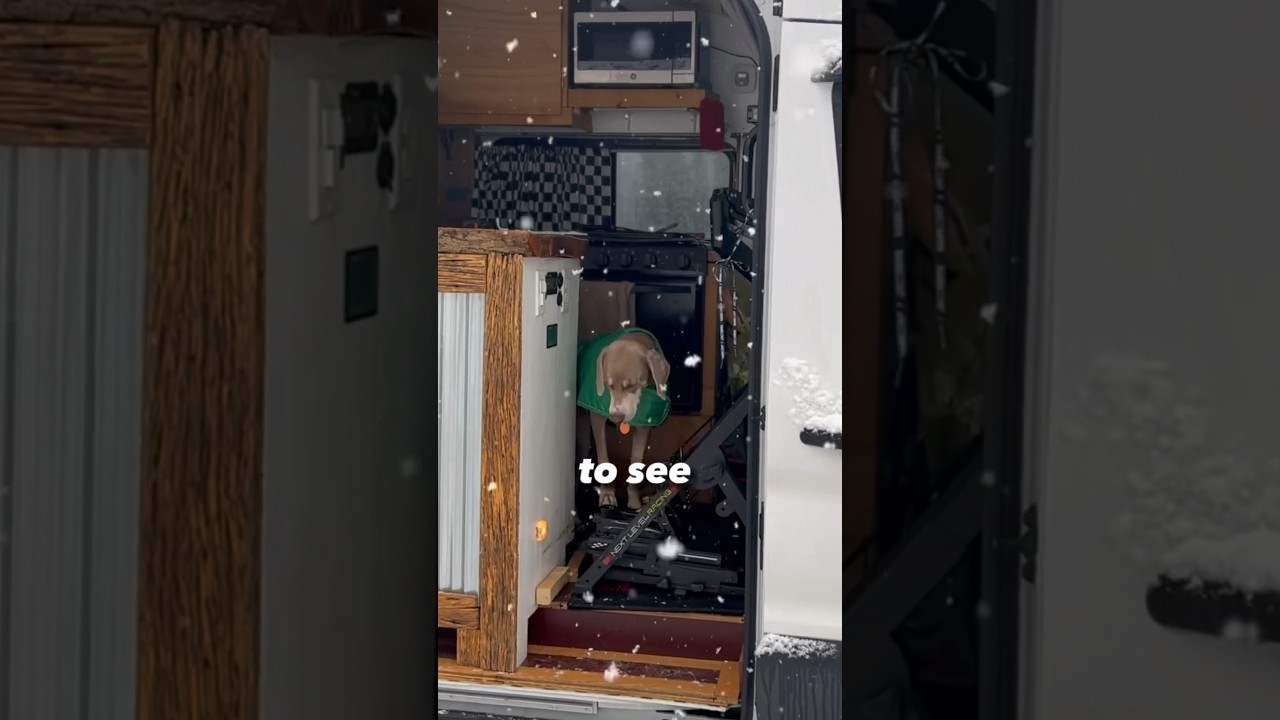 Solo Van Life in Winter Snow Storm🚐❄️🥶