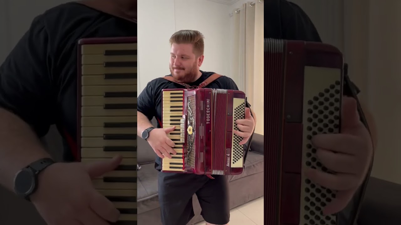 #sanfona #sanfoneiro #sanfoneirosdobrasil #gaita #gaiteiro #acordeon #acordeonista #acordeonistas