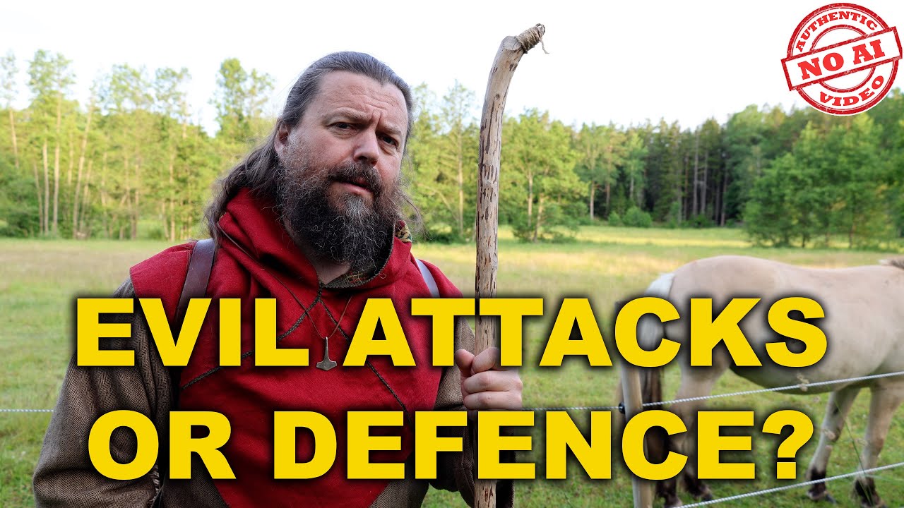 The SHOCKING Reason the VIKING Raids Started