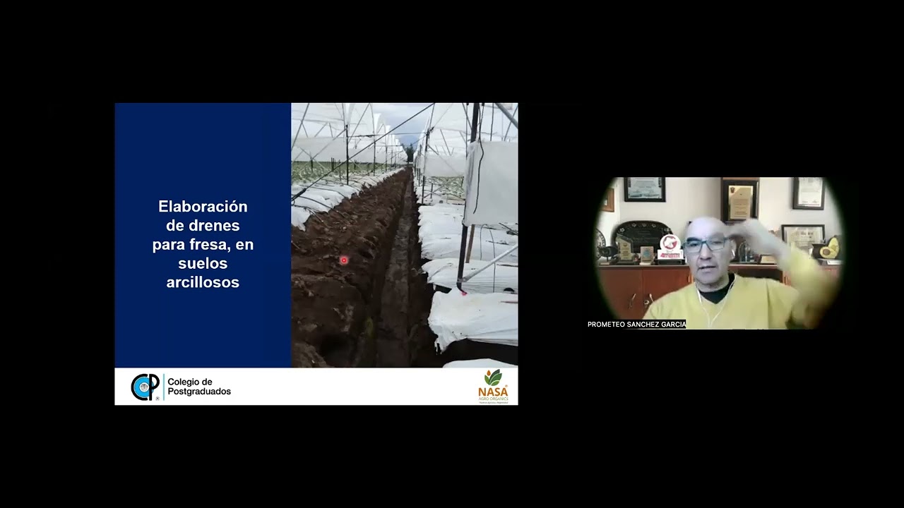 COMO INTERPRETAR ANÁLISIS DE SUELOS: PARTE 2