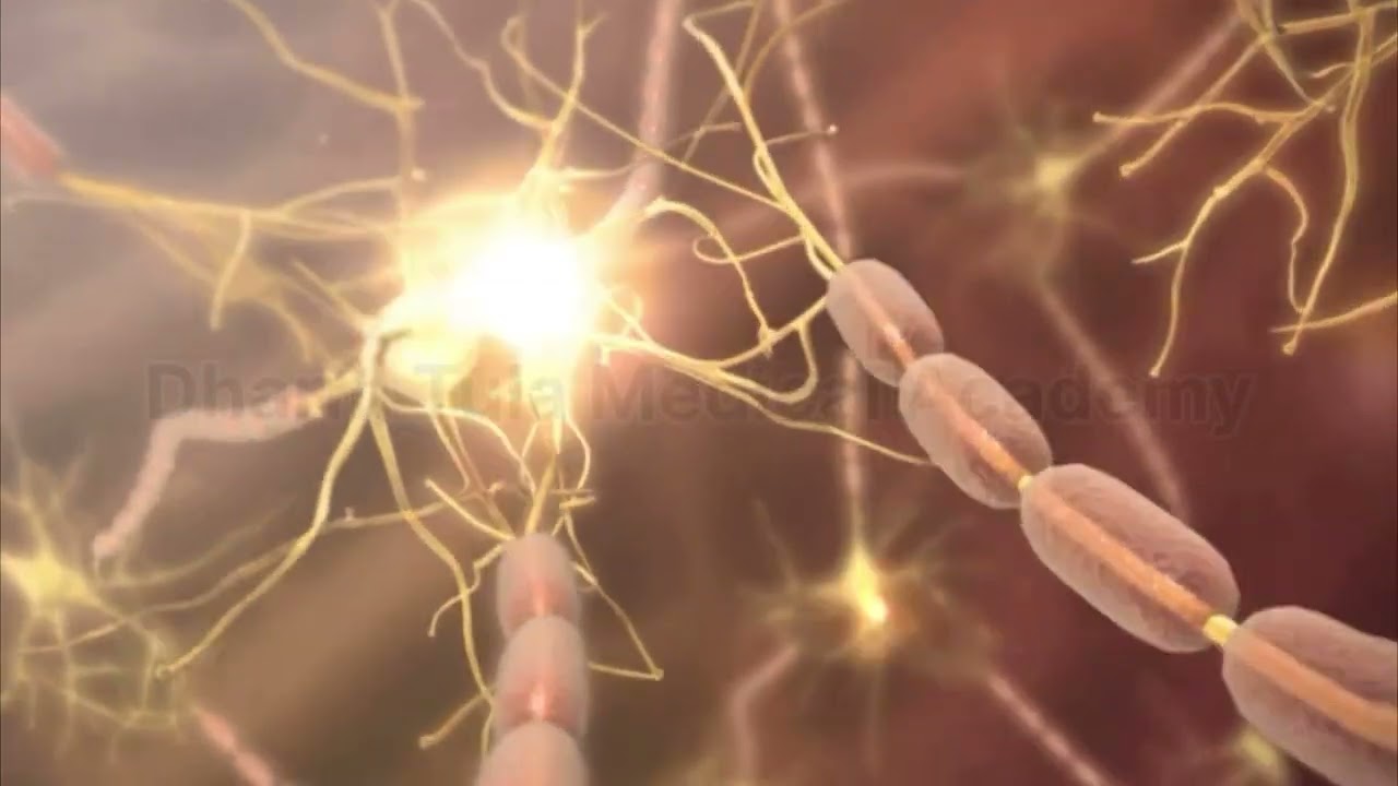 Neuron Explained | Structure & Function of the Nerve Cell | Neuron Kya Hai? | Nervous System