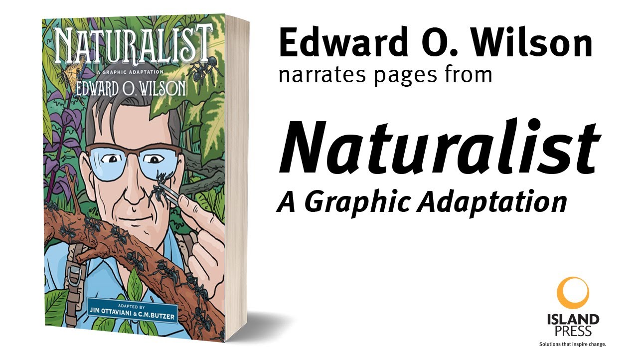 Naturalist: A Graphic Adaptation | Narrated by Edward O. Wilson