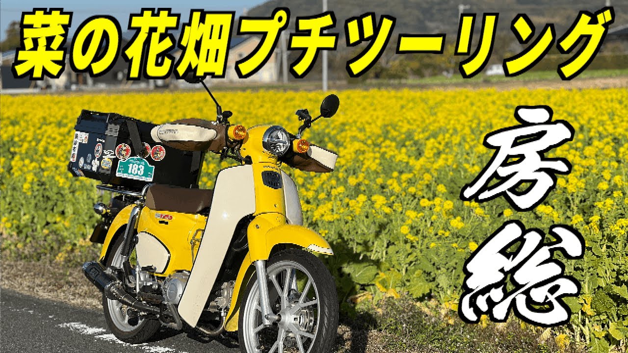 【スーパーカブ110】 房総 菜の花畑へプチツーリング 早春の千葉を走る