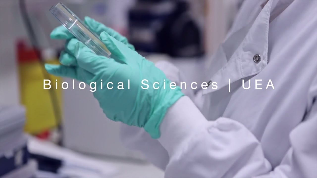 Biological Sciences | University of East Anglia (UEA)