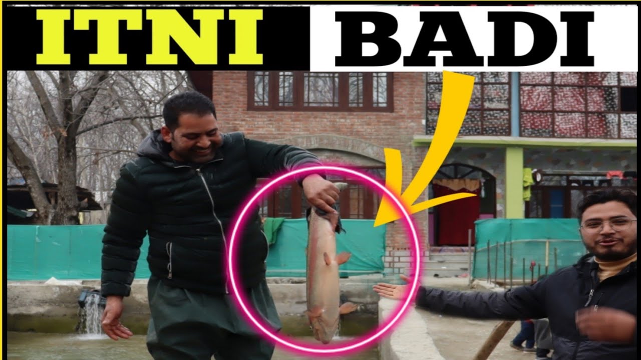 How to start  Fish Farm in Kashmir ? | SelfEmployment | MuneerSpeaks