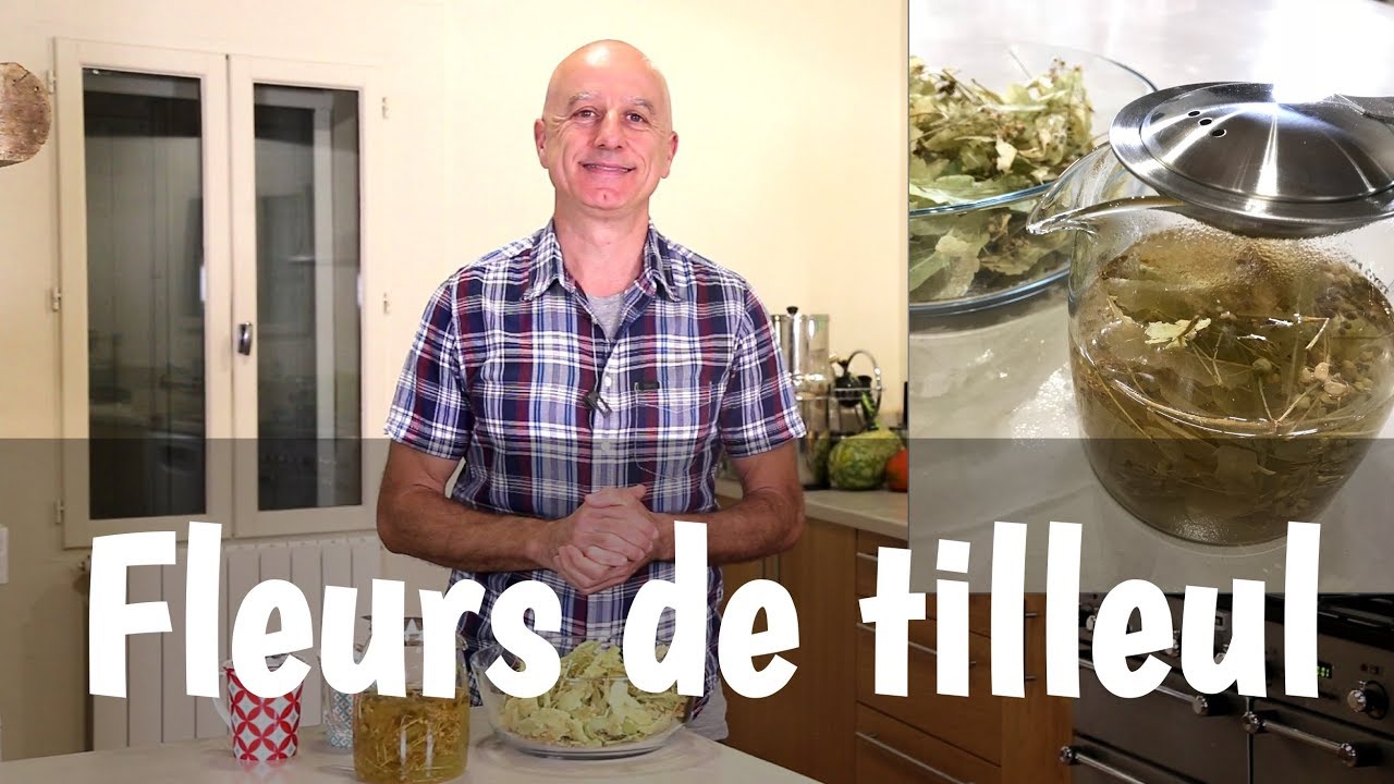 Fleurs de tilleul : stress, fièvre et problèmes cardiovasculaires