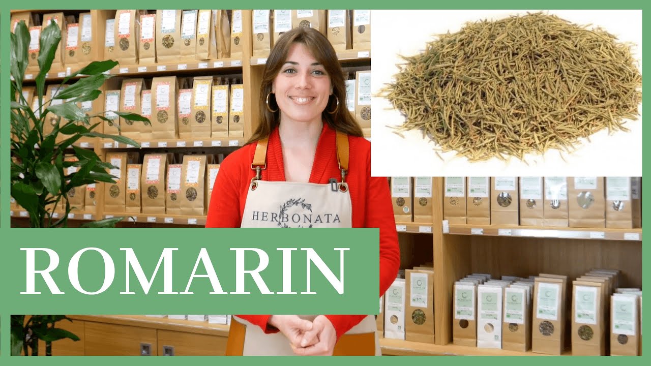 Les Propriétés du Romarin en Phytothérapie : Mémoire, Detox du Foie, Digestion, Tonique