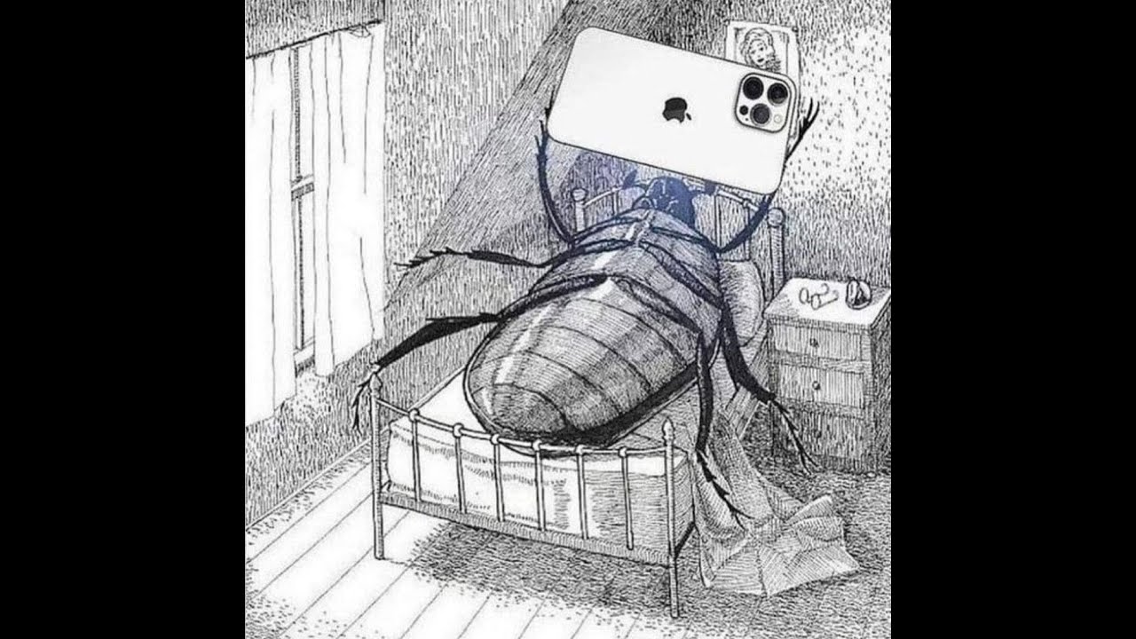 ME BOTARON DE MI CASA