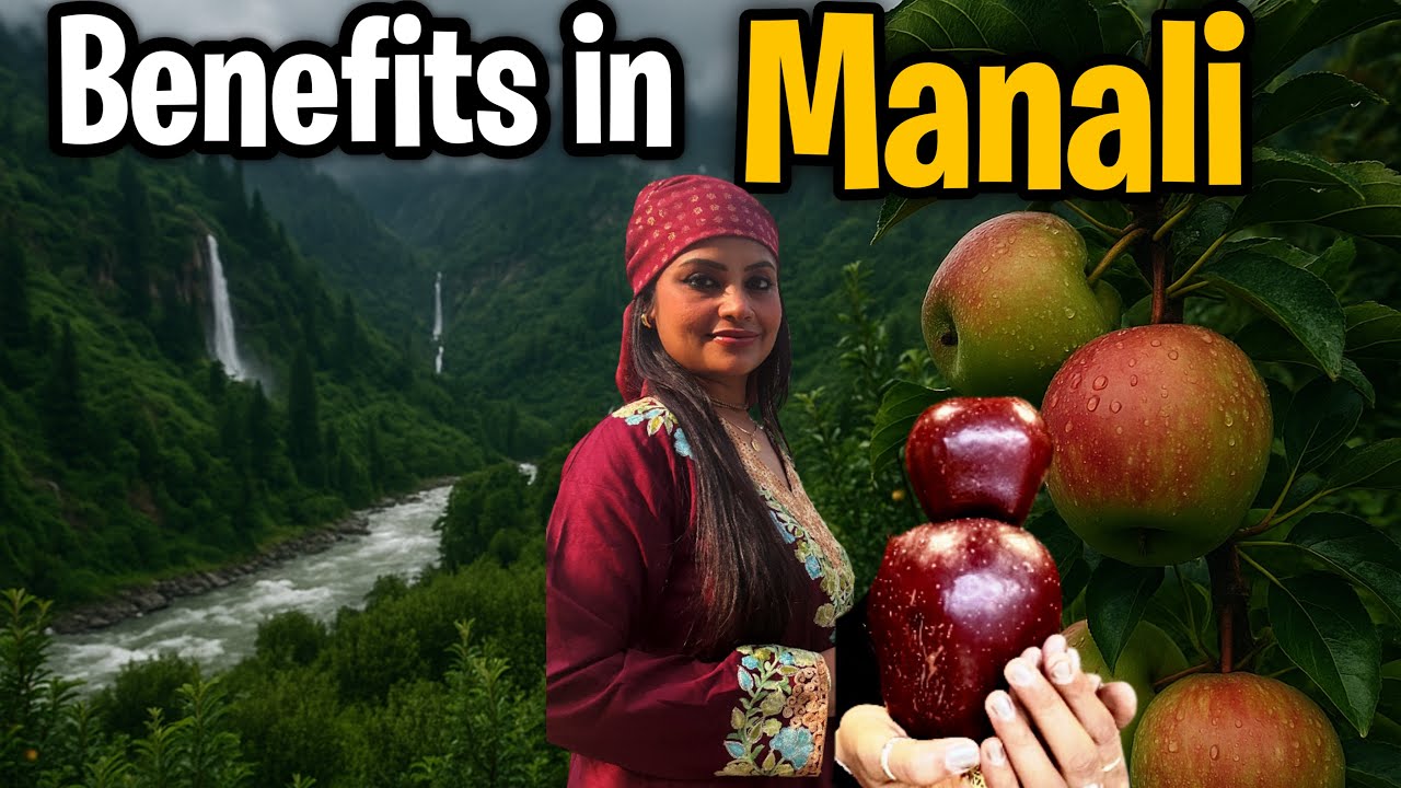 &ldquo;Manali in Monsoon 🌧️🍎 | Apple Orchards, Waterfalls & Himalayan Beauty&rdquo; | explore roads 