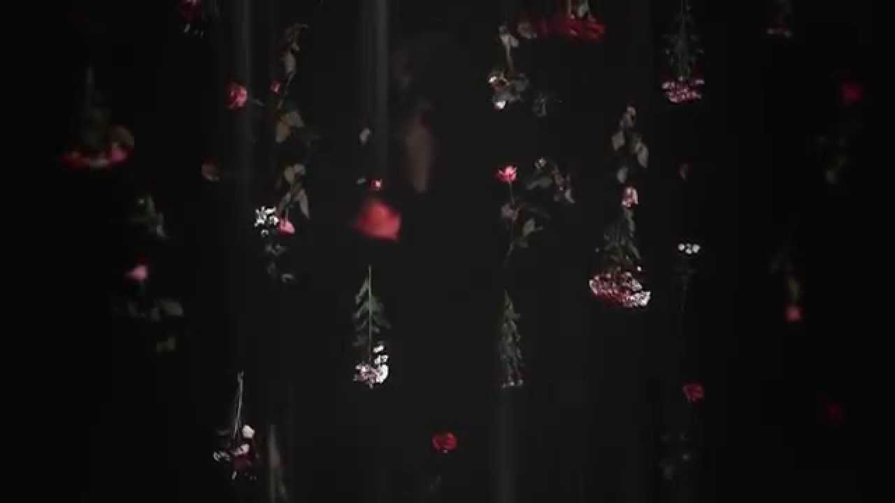 Ásgeir - Hærra (Lyric Video)