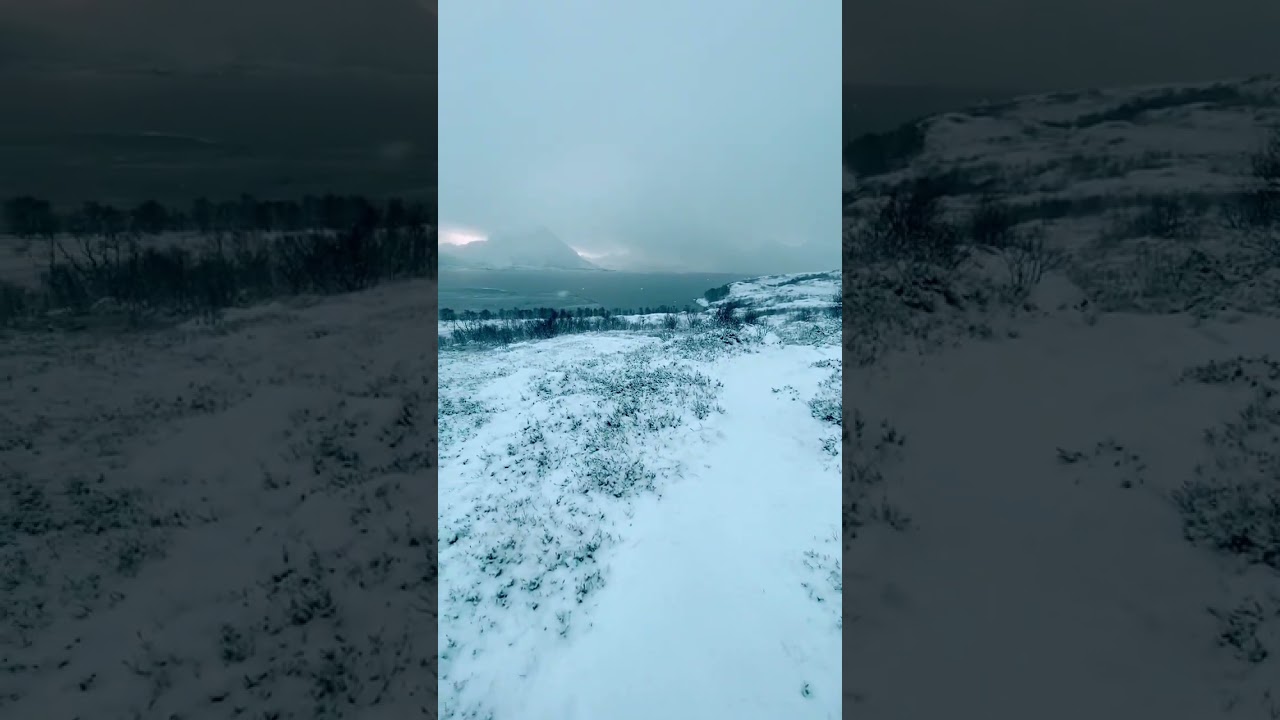 #norwaynature  #nordic  #ArcticLife #SilentMoments #wildScenery #explorenorway  #wandermore