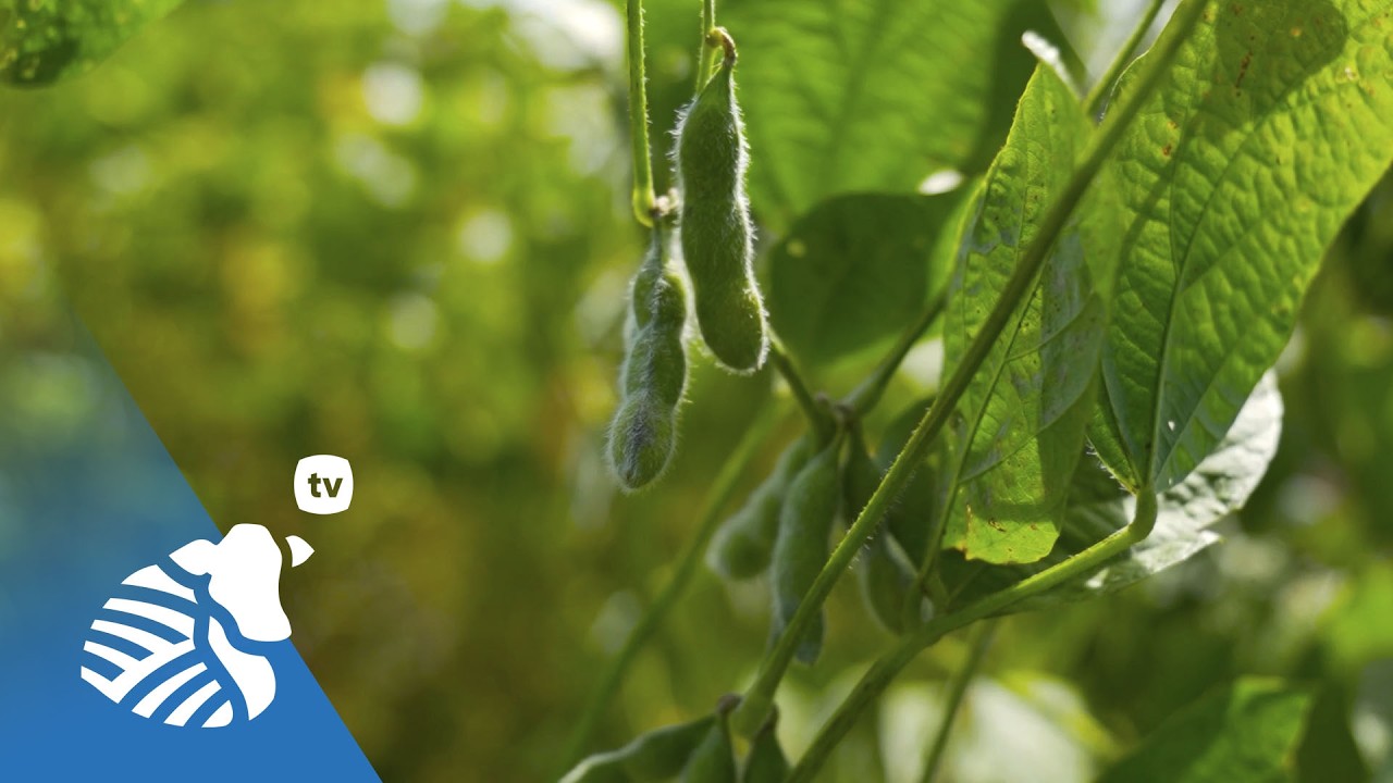 Un encuentro con la tecnología | PTV #446