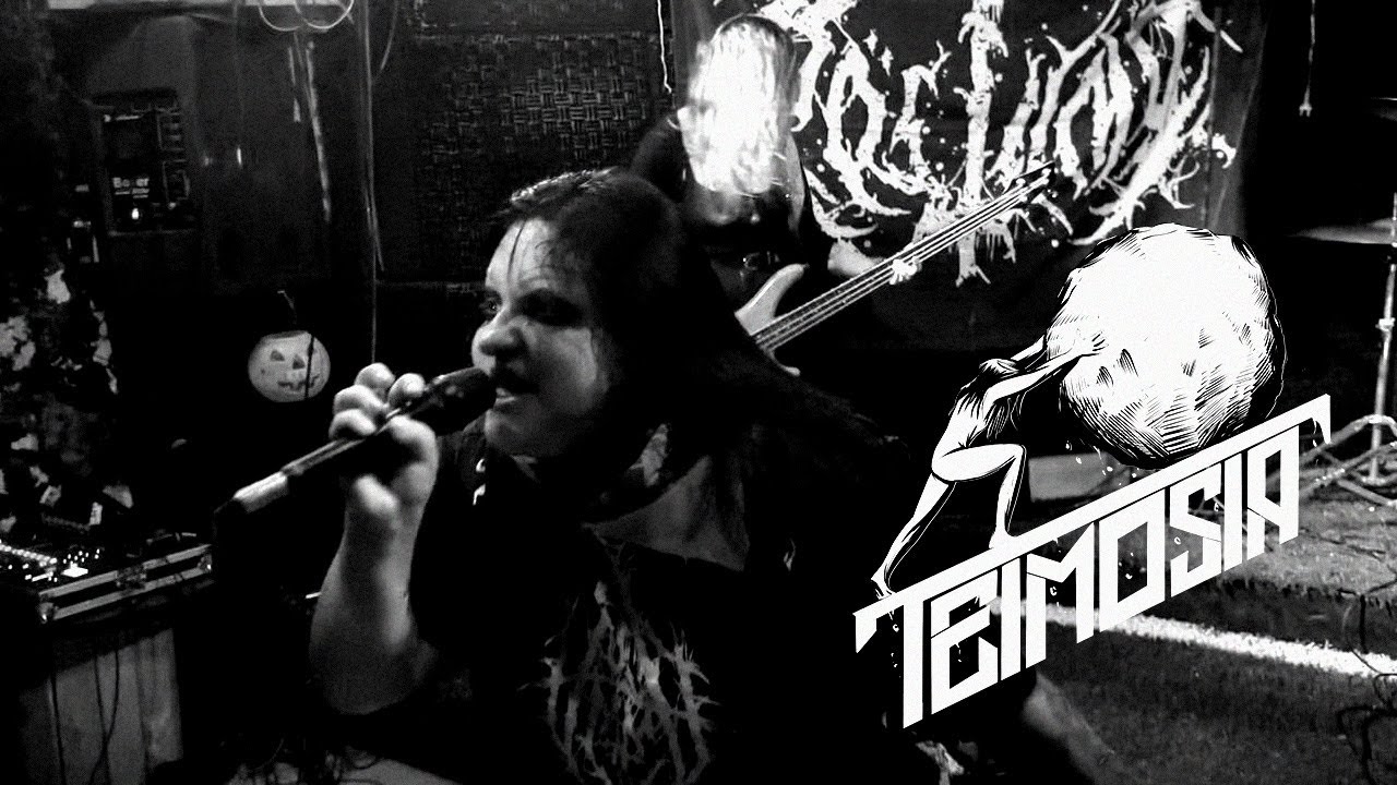 POSTVMO - Teimosia No Borders (FULL SET)