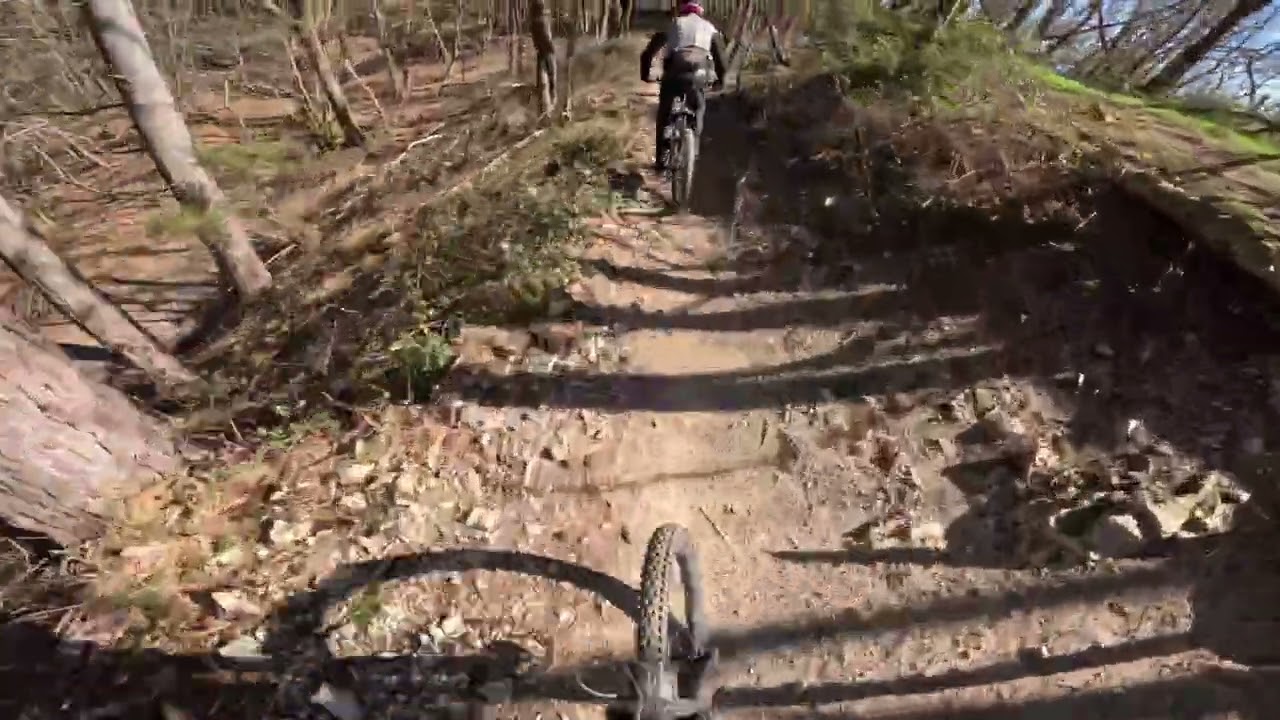 Rollercoaster | partially following Zegar