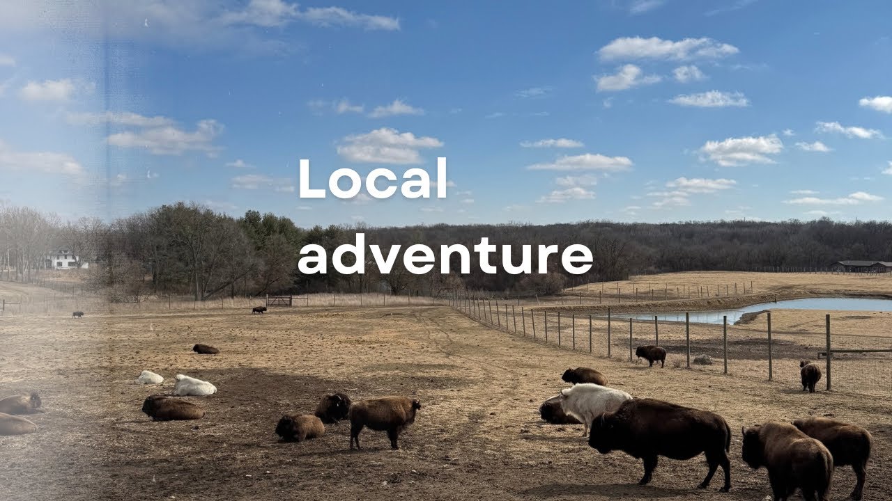 Local adventures and my dream vintage find!
