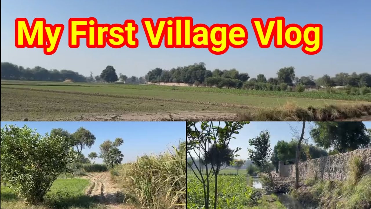 My First Village Vlog || Walking Through Green Fields of Punjab || SA Road Cover