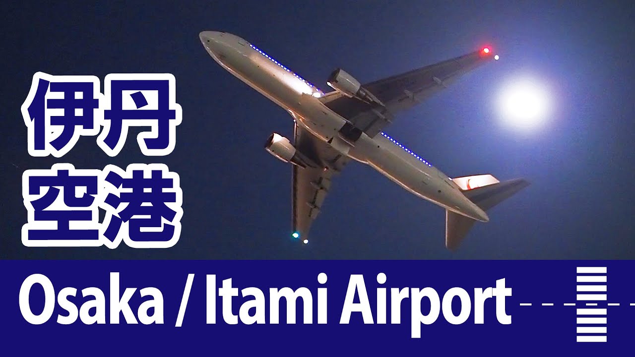 伊丹空港・飛行機動画 ／ Osaka/Itami Airport, Plane Spotting ／ Illuminated Runway and Wings ／ 大阪国際空港・千里川土手