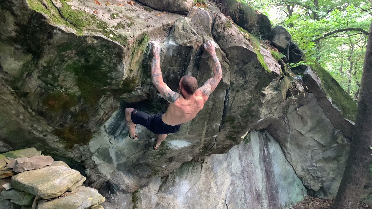 Brionesque 8A