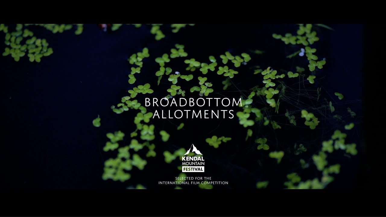 Broadbottom Allotments (2020)