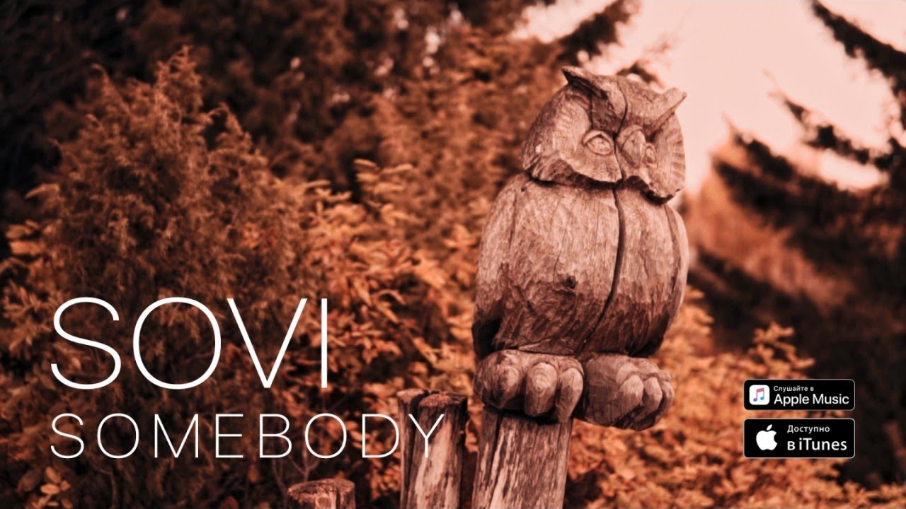 SOVI - SOMEBODY (Official Video)